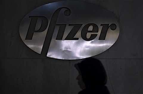 1pfizer.jpg