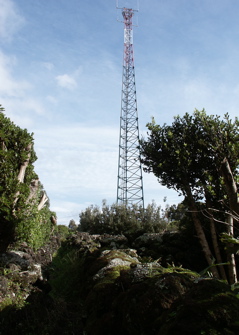 antena63.jpg