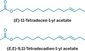 Ingredientscheckmate