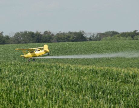 Spraying-Pesticides-Crops-L