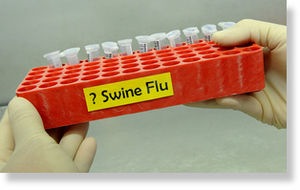 swineflu_lab12.jpg