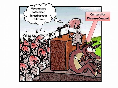 vaccine-sheep1.jpg