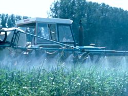 pesticides.jpg