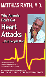whybook2003cv.gif
